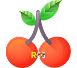  R66