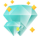  R66