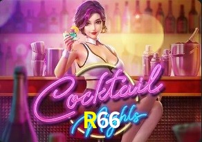  R66