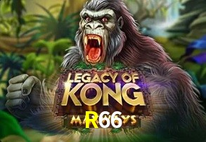  R66