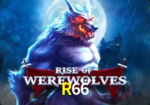  R66