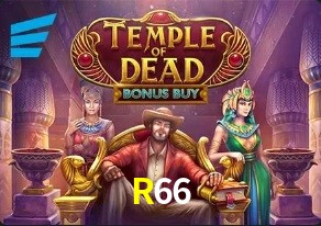 R66
