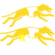  R66