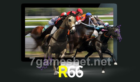 R66